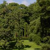 bild- gartenbau - landschaftsbau